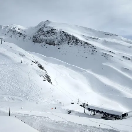 Fortuna ロイカーバード