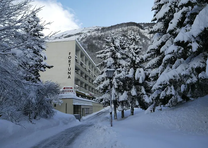 公寓 Fortuna 洛伊克巴德